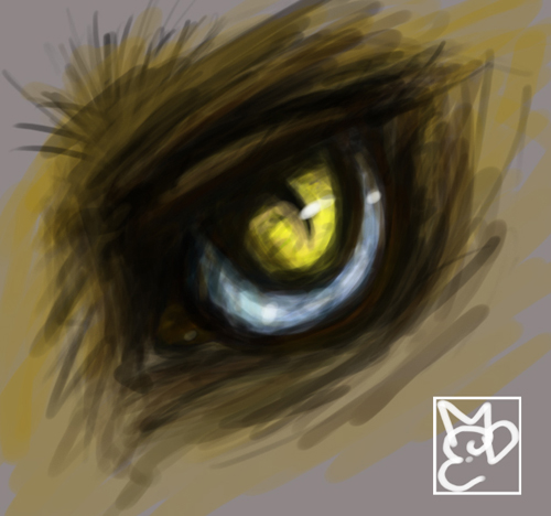 Ojo